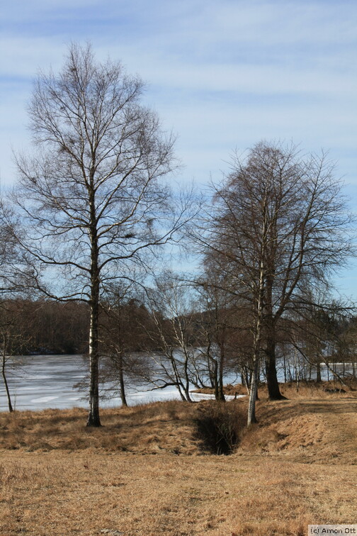 Ätran-Stausee bei Gällsås
