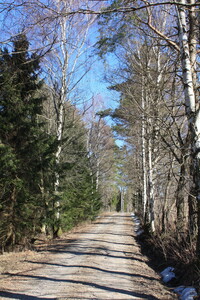Schotterweg bei Gällsås