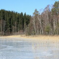 Kleiner See nahe Gällsås