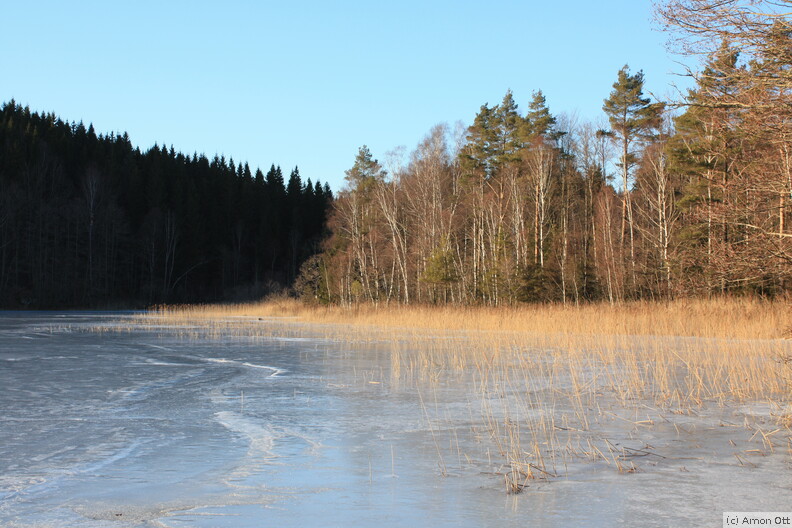 Kleiner See nahe Gällsås