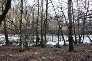 Im Naturreservat Sumpafallen