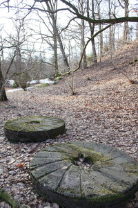 Im Naturreservat Sumpafallen