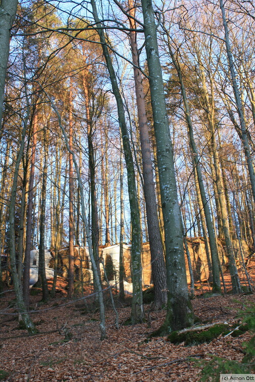 Bäume und Felsen am Björkasjön