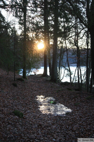 Leuchtpfütze am Björkasjön