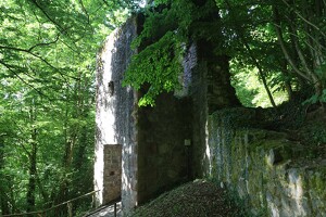Burg Rodenstein