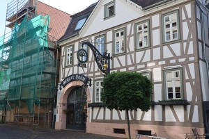 Grüner Baum in Michelstadt