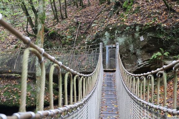Hängebrücke im Butzerbachtal