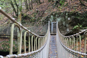 Hängebrücke im Butzerbachtal