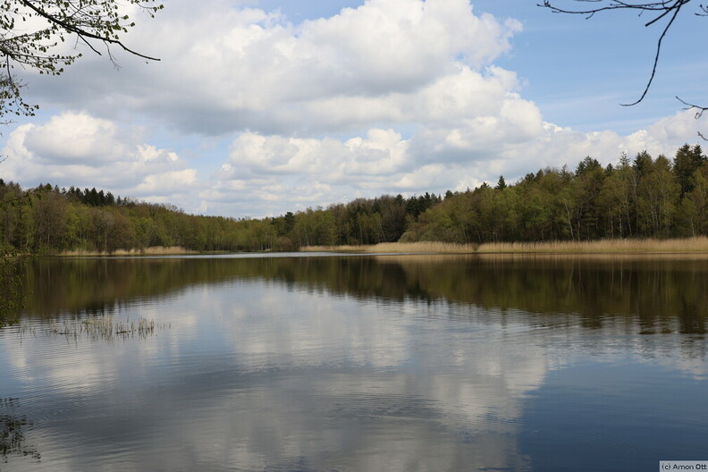 Bredenbeker Teich