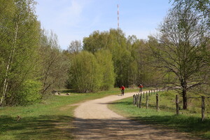 Höltigbaum