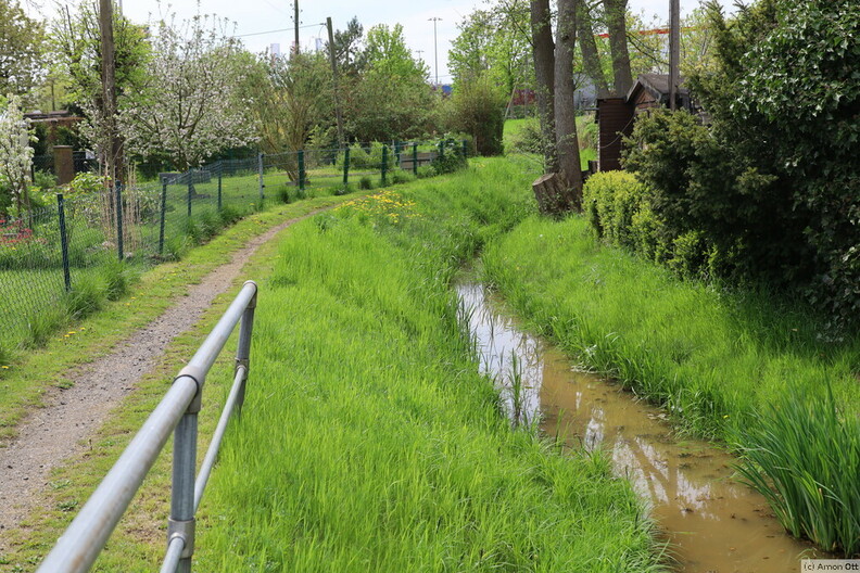 Bachweg in Moorfleet