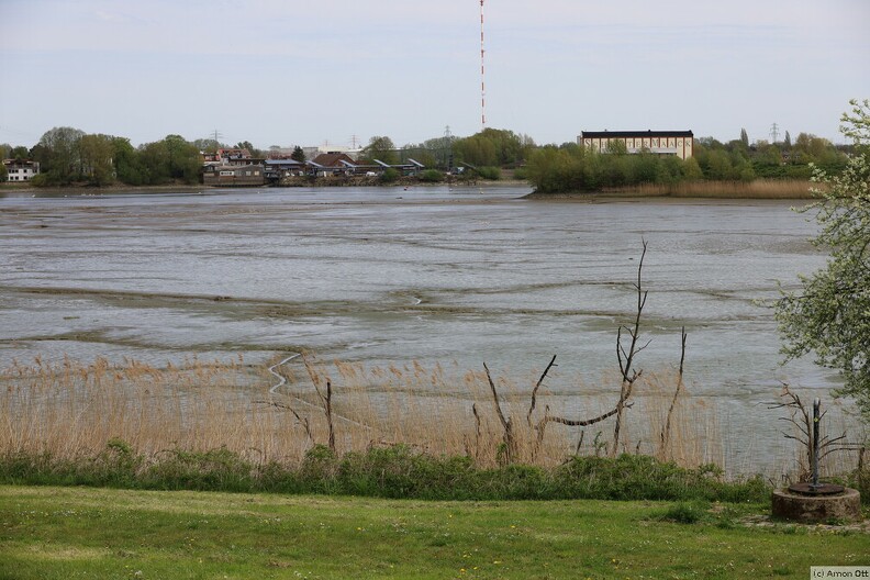 Holzhafen