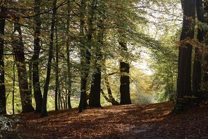 Jenischpark