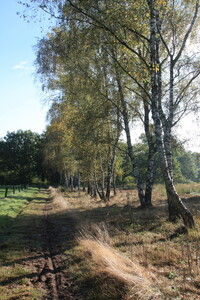 Landrat-Ecker-Weg