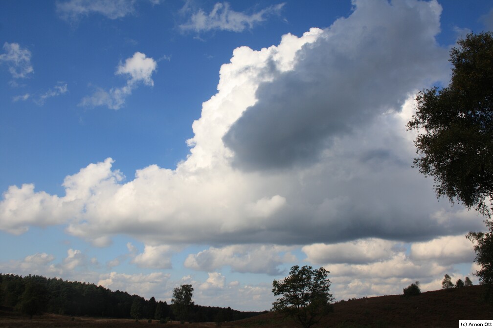 Wolken über Weseler Heide