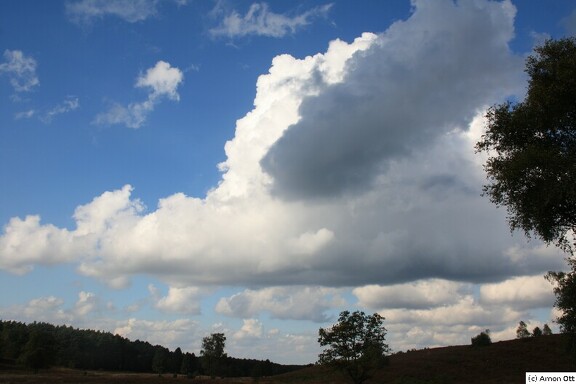 Wolken über Weseler Heide