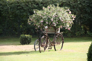 Fahrradbusch in Undeloh