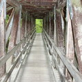 Brücke in der Ammerschlucht