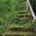 Alte Treppe im Krippengrund