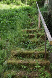 Alte Treppe im Krippengrund