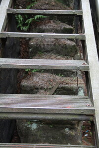Alte und neue Treppe zum Rauenstein