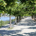 Uferpromenade in Bonn