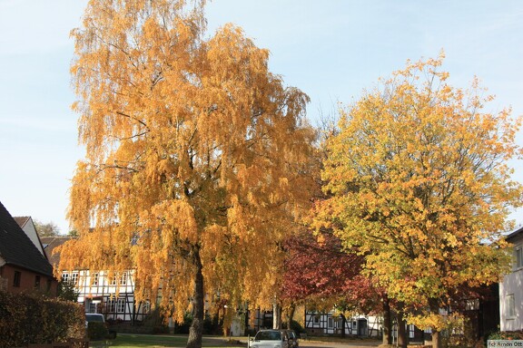 Herbstfarbe in Neuhaus