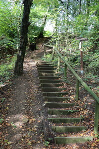 Treppe auf dem Oberberg