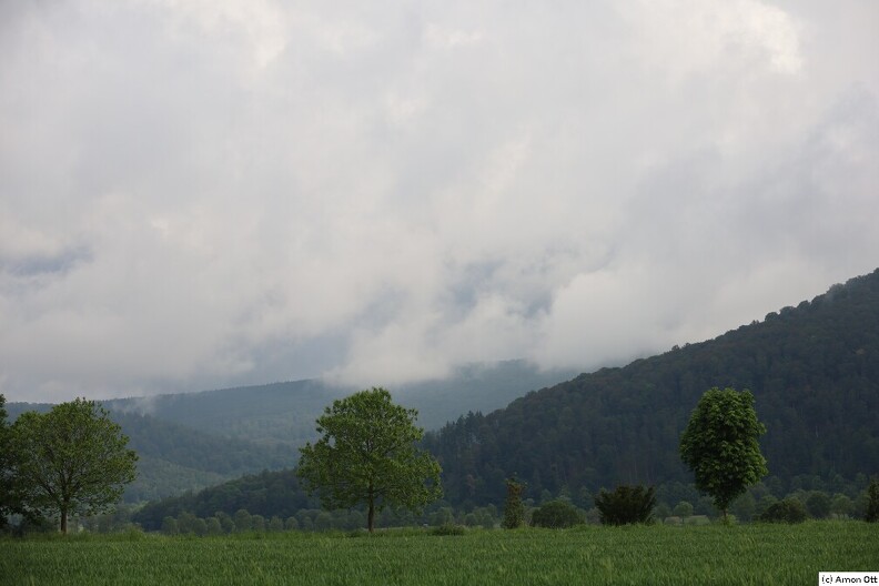 Feld, Wald und Wolken