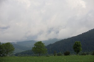 Feld, Wald und Wolken