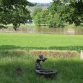 Weser in Bodenwerder